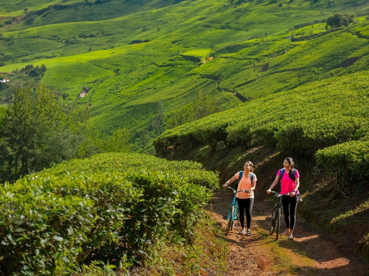 Le Montfort Resort Munnar Exteriér fotografie